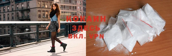 СК Инта