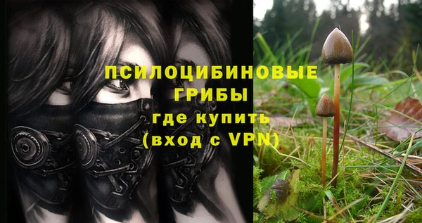 ПСИЛОЦИБИНОВЫЕ ГРИБЫ Иннополис