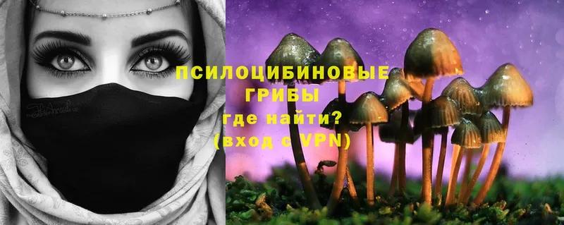 Галлюциногенные грибы Psilocybine cubensis  наркота  Кисловодск 