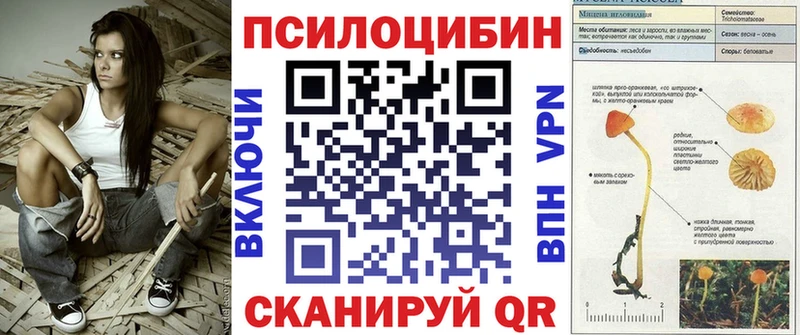 Галлюциногенные грибы MAGIC MUSHROOMS Кисловодск