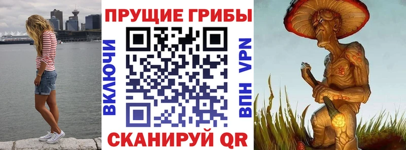kraken   Кисловодск  Псилоцибиновые грибы мицелий  как найти наркотики 