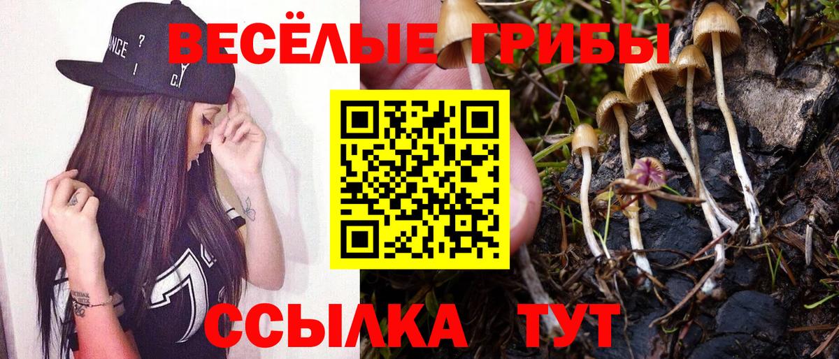 Кисловодск  Псилоцибиновые грибы MAGIC MUSHROOMS  Вход с VPN  Галлюциногенные грибы Magic Shrooms 