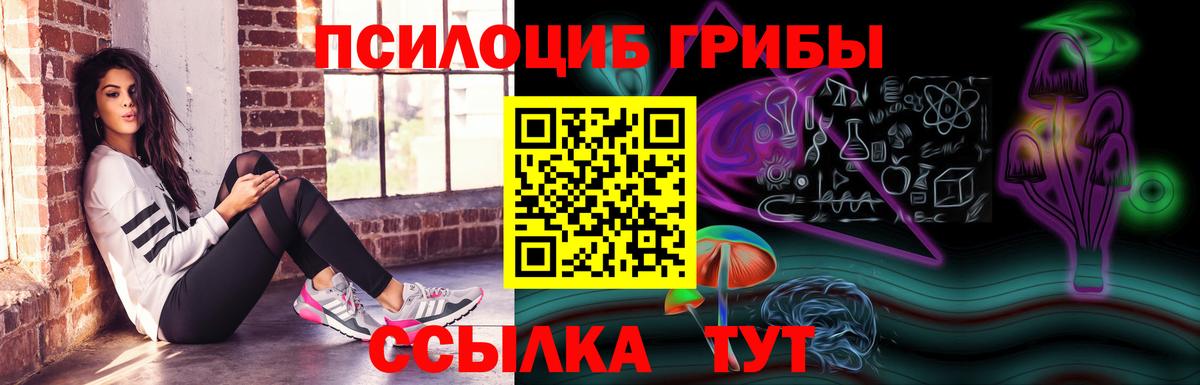 Галлюциногенные грибы прущие грибы  Псилоцибиновые грибы GOLDEN TEACHER  Кисловодск 