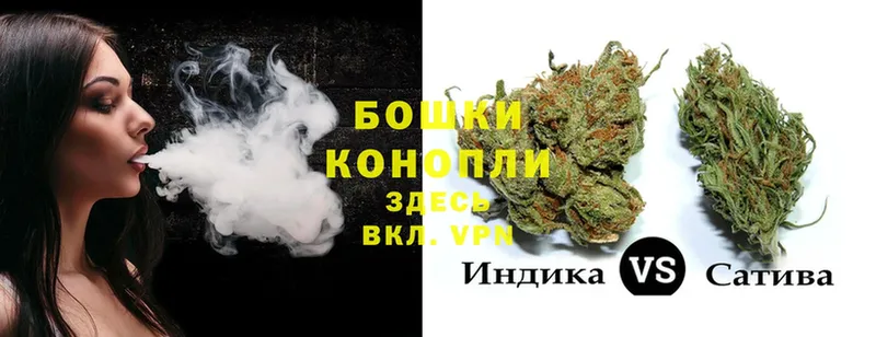 МАРИХУАНА OG Kush  даркнет как зайти  Кисловодск 